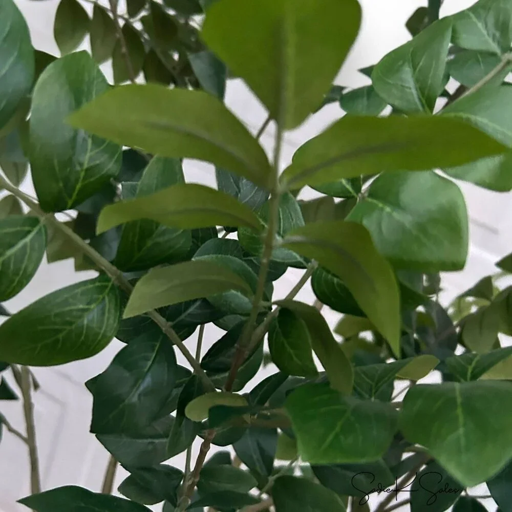 Threshold Studio McGee Artificial Pterocarpus Leaf Tree in Woven Basket - Target